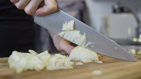 cutting up, slicing an onion in to tiny pieces, preparing a diet to loose weight