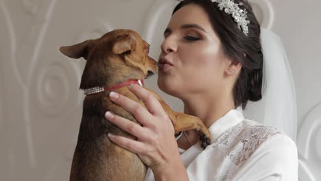 Beautiful-and-lovely-bride-in-night-gown-and-veil-with-funny-dog.-Wedding