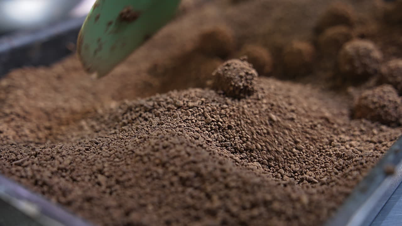 Little chocolate balls are rolled in chocolate crumbs with the help of spatula. Handmade manufacture of chocolate desserts. Close up.