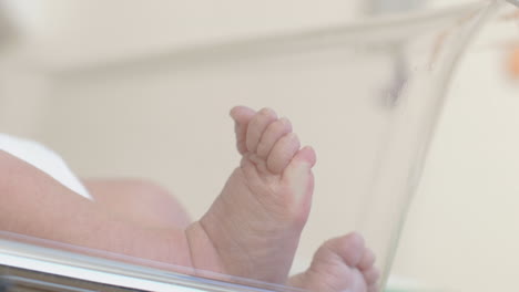 baby feet in hospital crib