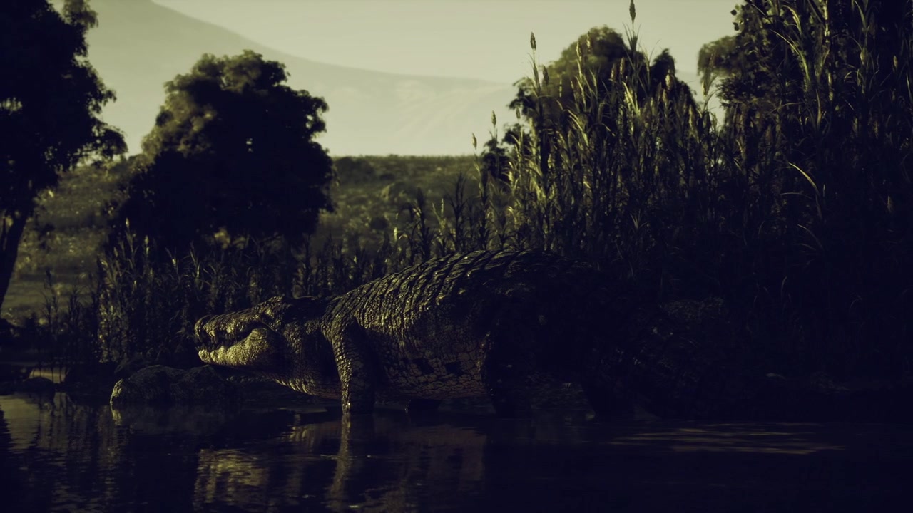 Foggy swamp environment with lurking predator and heavy darkness