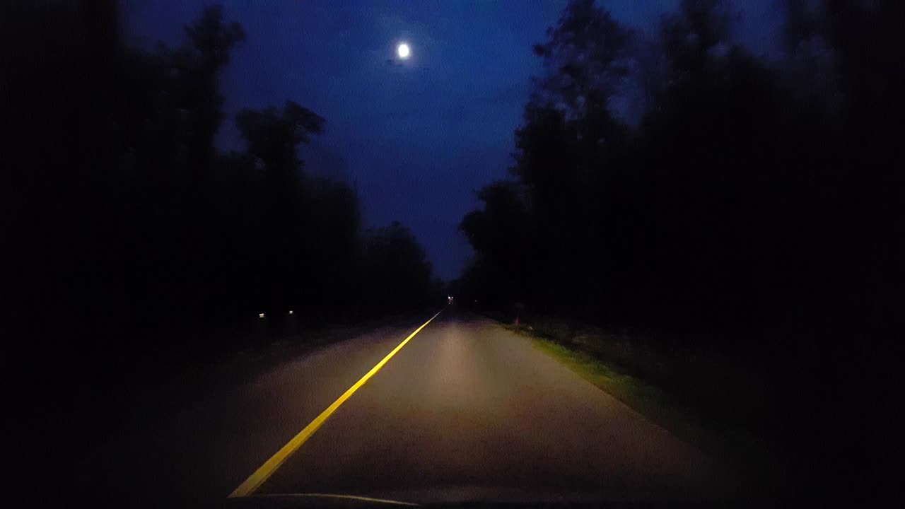 conducir por una carretera rural rodeada de árboles forestales por la noche. punto de vista del conductor pov campo camino boscoso por la noche con luna brillante en el cielo.