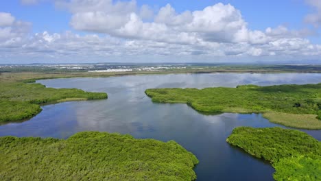 laguna bavaro refugio de vida silvestre con bosques de manglares