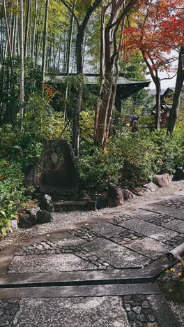 japanese garden in autumn