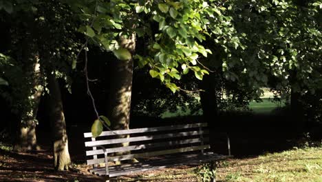 park bench in summer with overhanging tree shade wide shot