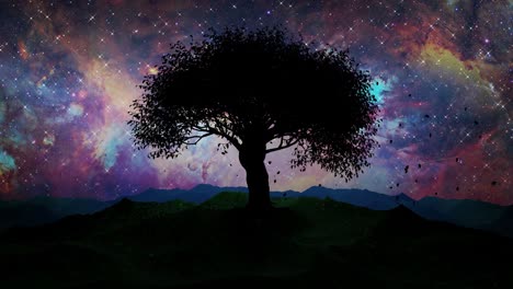 la fantasía de la naturaleza. las sombras del árbol.