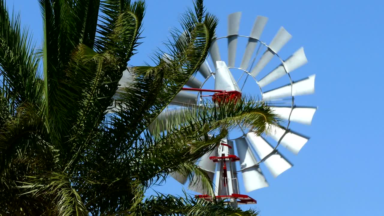 오래된 빈티지 스타일의 풍차가 날 나무 가지 사이를 회전하고 있습니다.