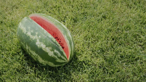 A-large-ripe-watermelon-with-a-cut-out-section-lies-on-the-grass.-Home-picnic