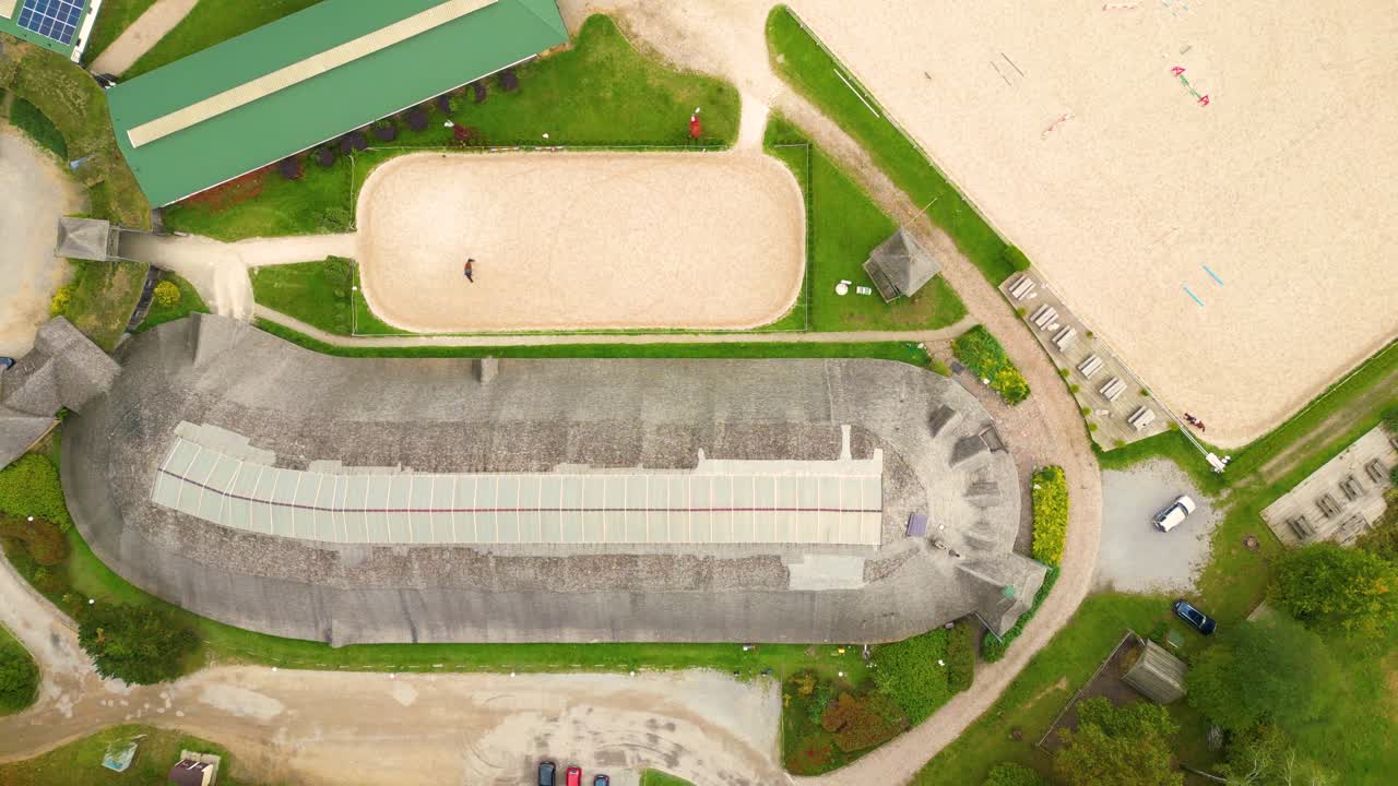 안정 근처 목장에서 걷고 방목하는 말