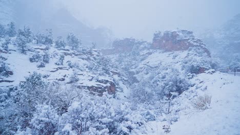 intense snow fall blanketing the mountain tops of zion covering the evergreens and the red rocks