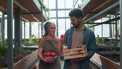 gardeners inside a greenhouse