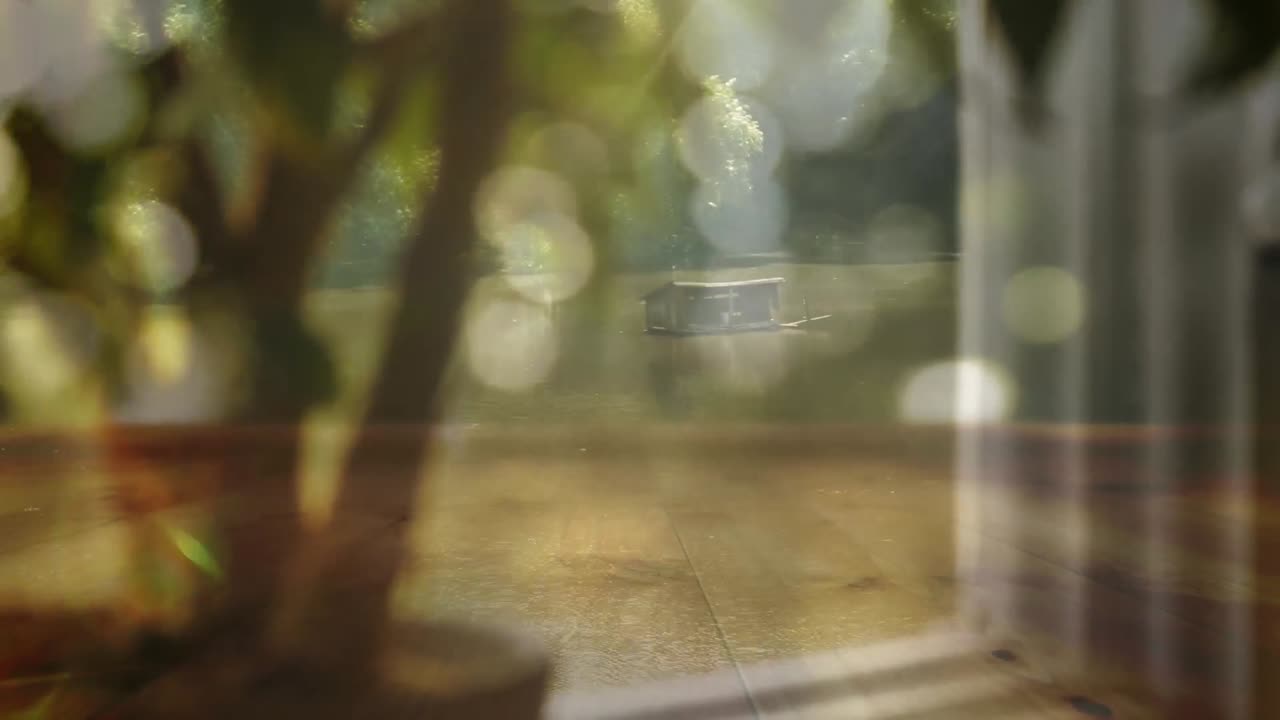 창문과 식물 위에 반이는 빛의 반점의 애니메이션