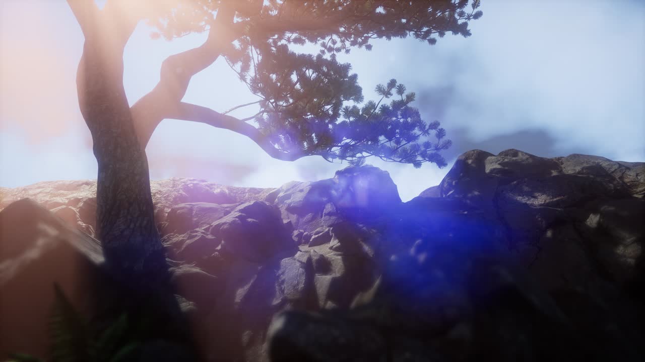 안개 속의 산꼭대기