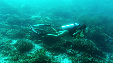 divers see the world from a different perspective