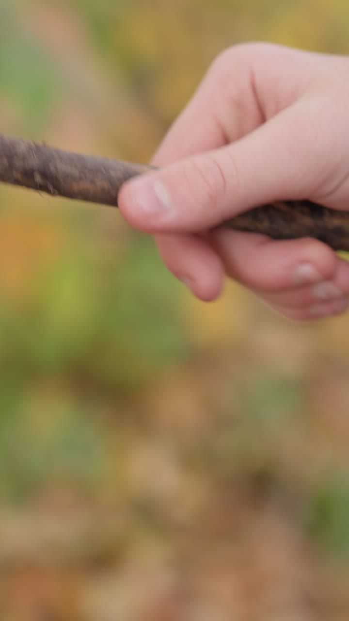 Lähikuva lapsen kädestä, joka pitää kuivaa keppiä sinisessä takissa ja heiluttaa sitä leikkisästi syksyisessä ympäristössä. Sumea lehtitausta vangitsee luonnollisen syksyisen ilon ja ulkoilmaelämän.