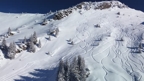 ski tracks wind through fresh powder, avoriaz ski resort in french alps