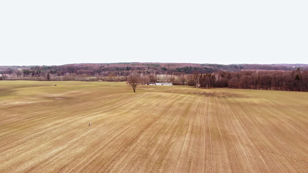 Panoramablick auf die weite Brachfläche im Dorf Buszkowy Górne in Nordpolen