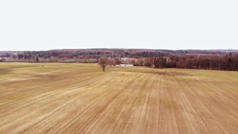 panoramic view of the vast brownfield at the village of buszkowy gorne in northern poland