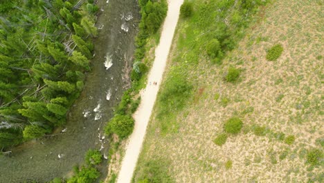 4K-Drohnenaufnahmen-Mit-Direktem-Blick-Nach-Unten,-Während-Radfahrer-Auf-Einer-Schotterstraße-Neben-Einem-Von-Pinien-Umgebenen-Gebirgsbach-Rasen