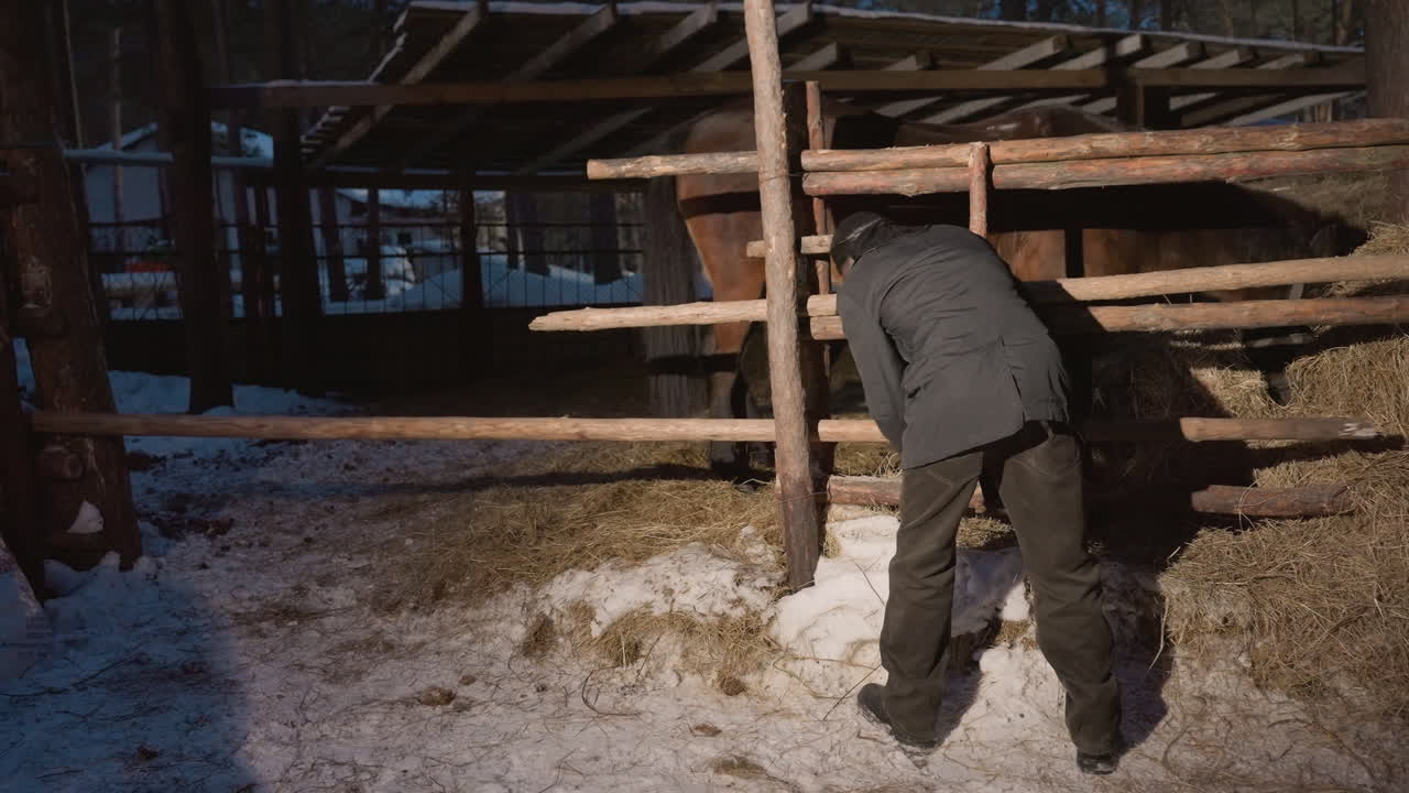 cuidado de animales de corral en invierno, un agricultor rural cuida del ganado durante las frías horas de la noche de invierno, un trabajador agrícola cuida diligentemente de los animales de granja en un ambiente gélido de noche de invierno