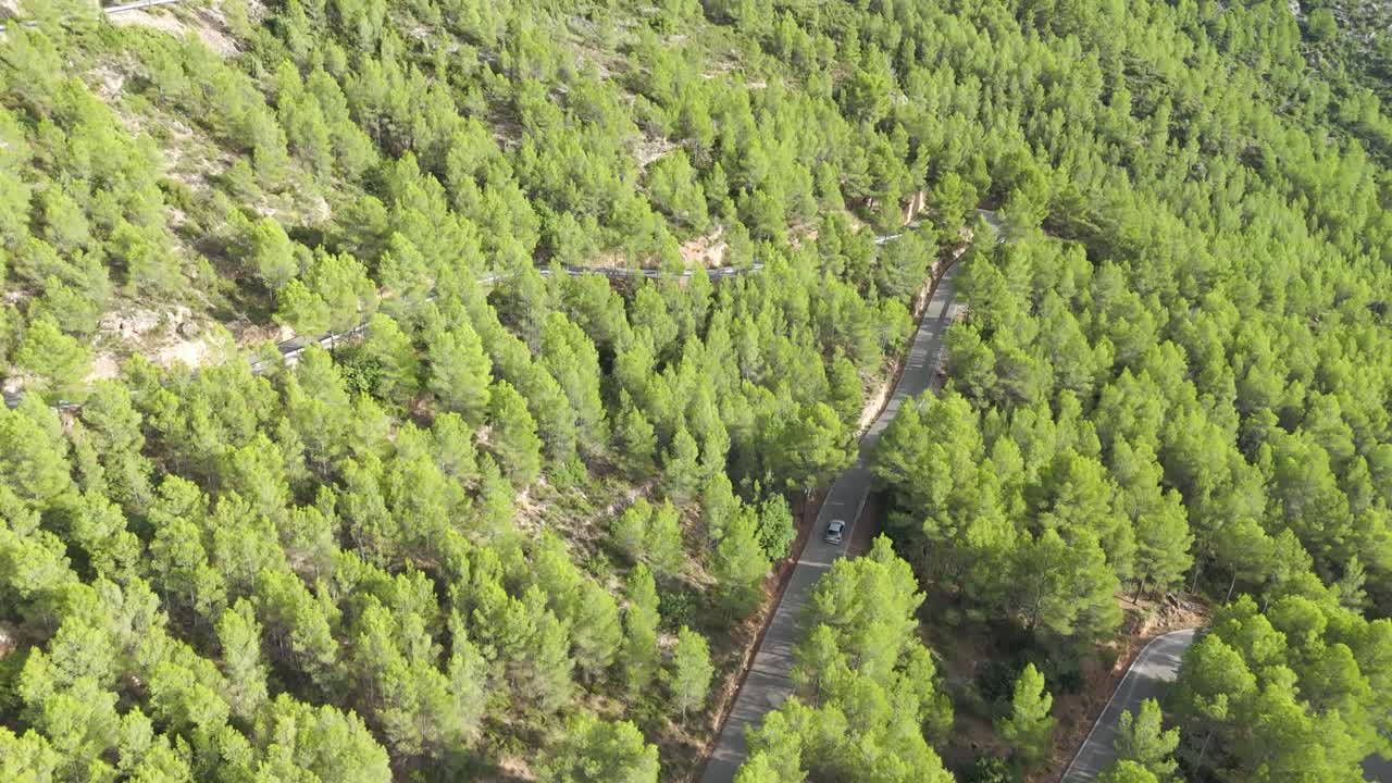 Breathtaking aerial view of a white car driving fast on a winding road. Scenic mountain pass surrounded by a dense green pine forest