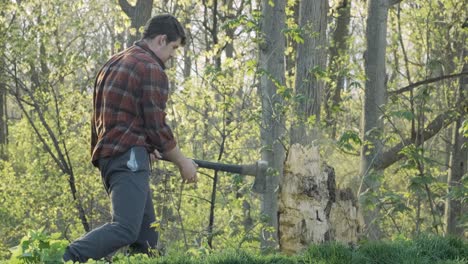 powerful overhead axe swing at a tree stump