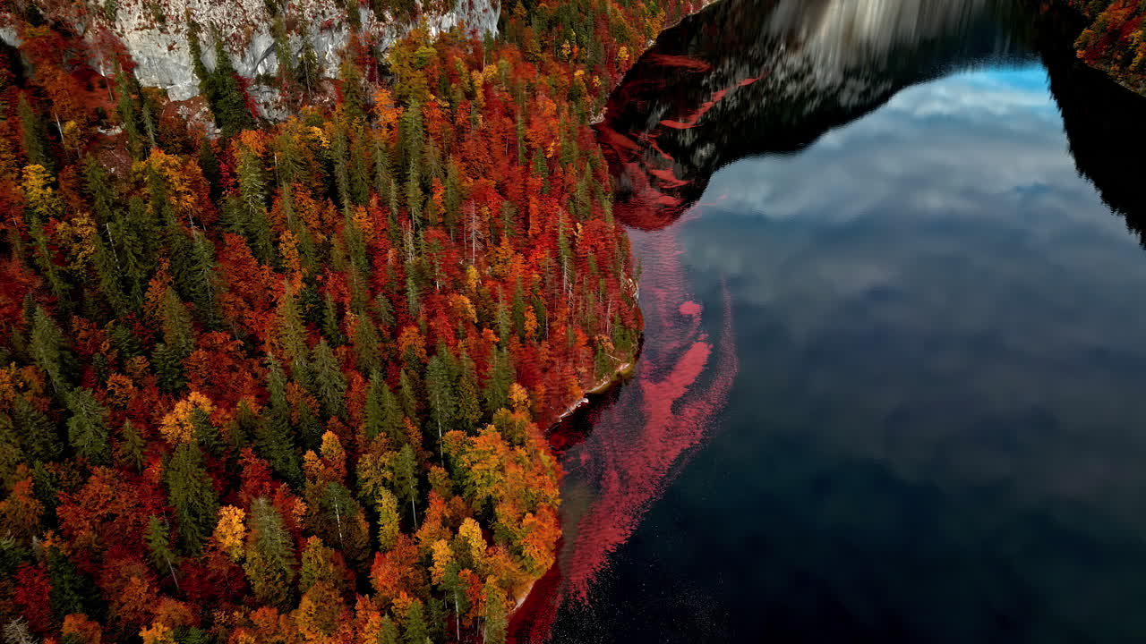 bosque de abeto rojo en el lago toplitz durante la temporada de otoño en austria