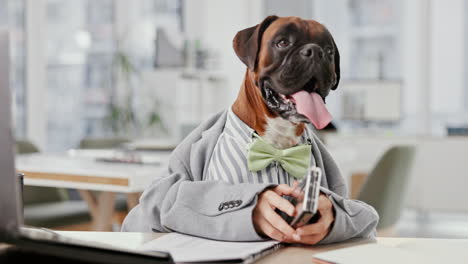 a dog dressed as a businessman in an office