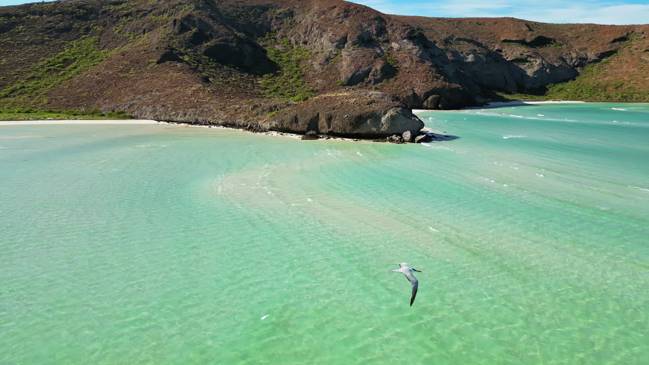 Aerial drone view of crystal clear blue waters with desert mountains in the background along the Baja California coast