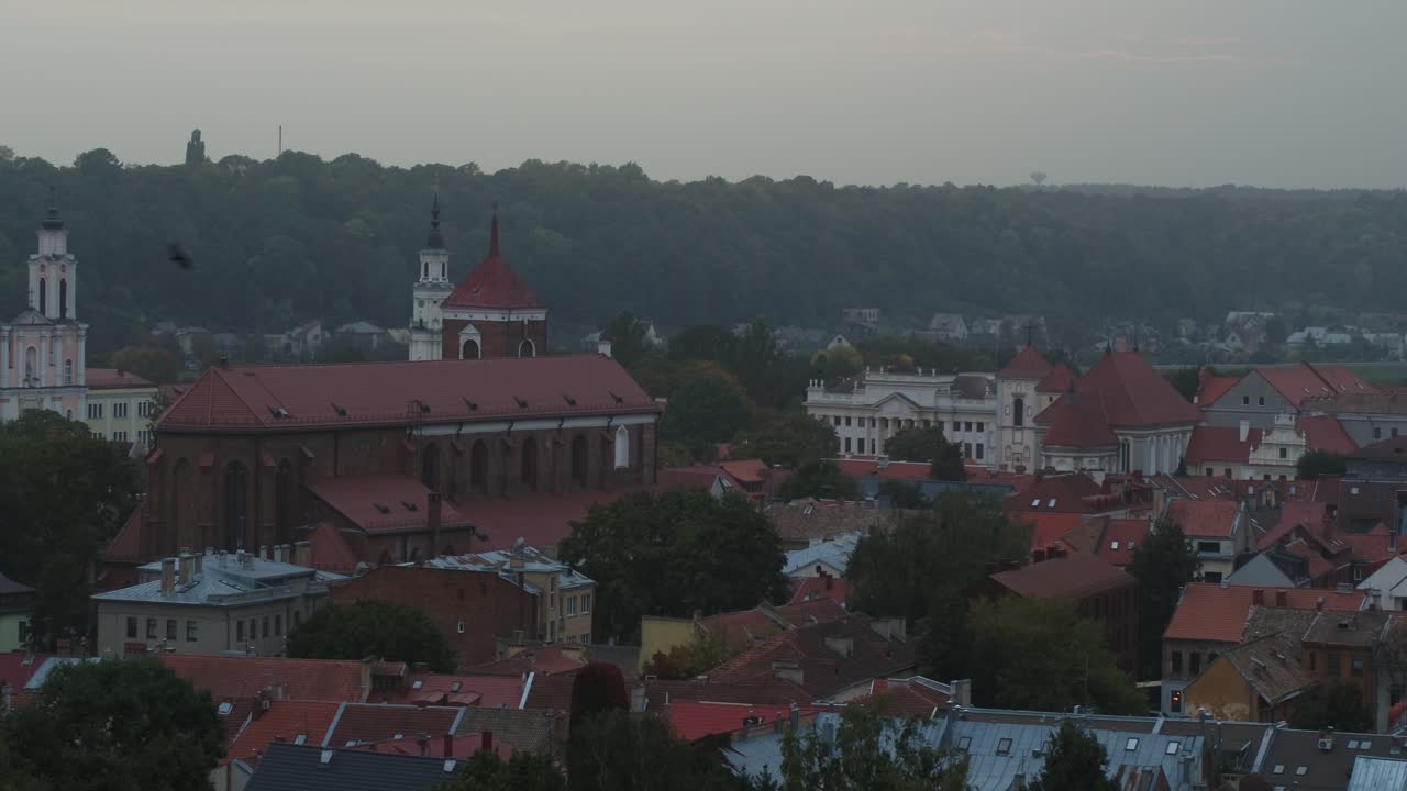 pájaros volando sobre el casco antiguo de kaunas