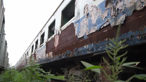 Old-rusty-abandoned-train-sitting-in-the-graveyard-with-small-plants-in-the-foreground