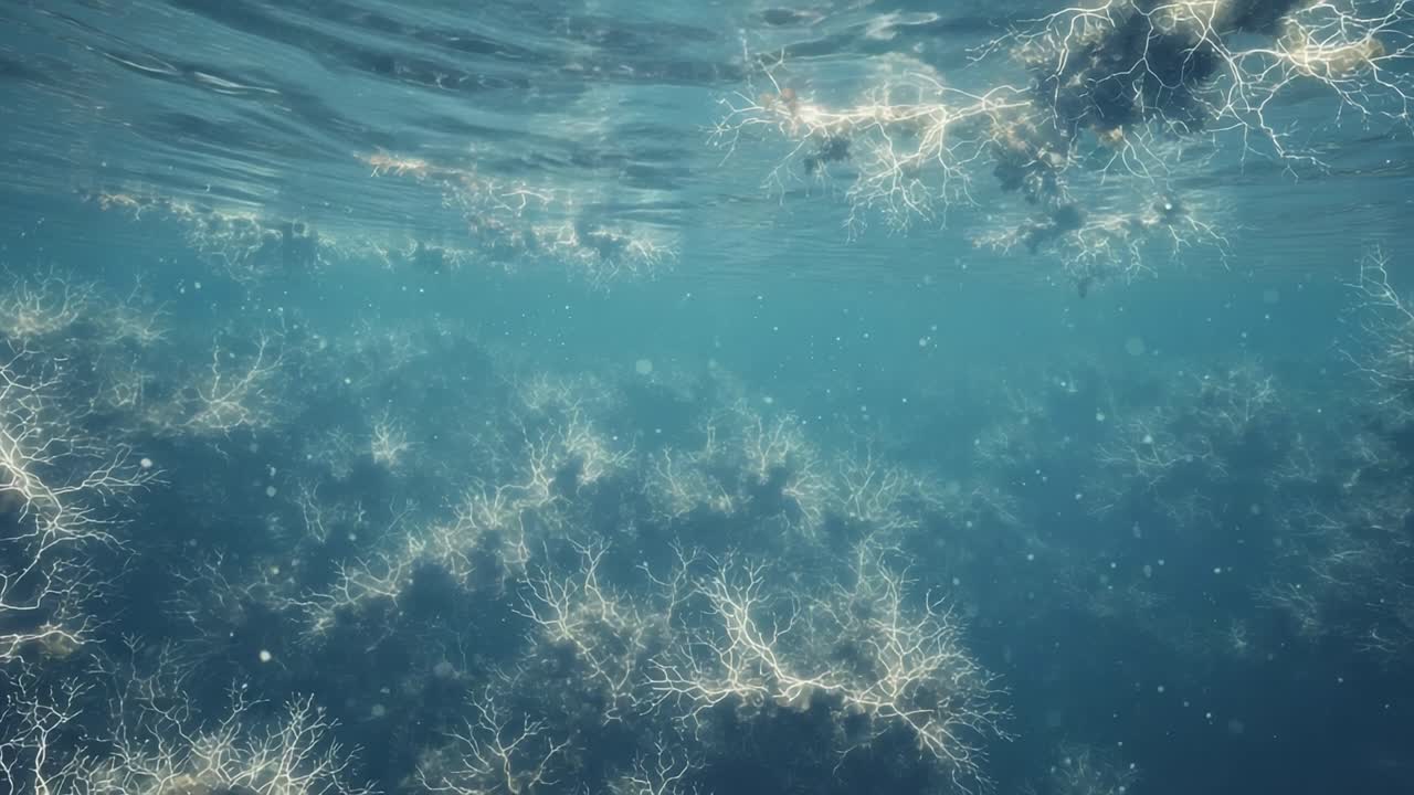A Mystical Underwater Scene Featuring Glowing Coral-like Structures Surrounded by Clear Blue Water and Ethereal Lighting Effects in a Serene Aquatic Environment