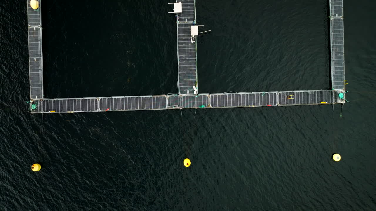 Aquaculture Pen System Used For Cultivating Halibut - Halibut Fish Farm In Hjelmeland, Norway. - aerial shot