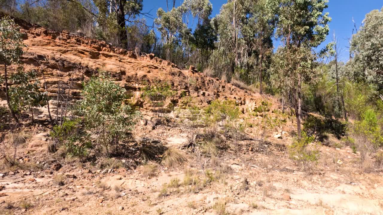 나무와 은 하늘이 있는 바위 풍경