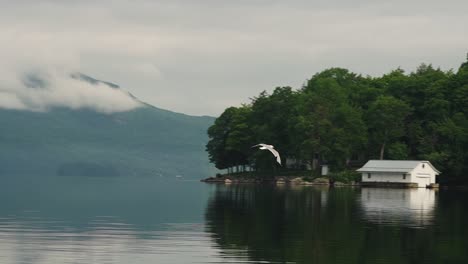 Bird-flying-over-surface-of-water-on-Canadian-boarder-in-Vermont-super-slow-motion-4k-30p