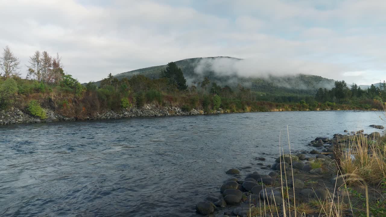 안개 낀 숲과 산 배경, 중간, 팬이 있는 야생 강