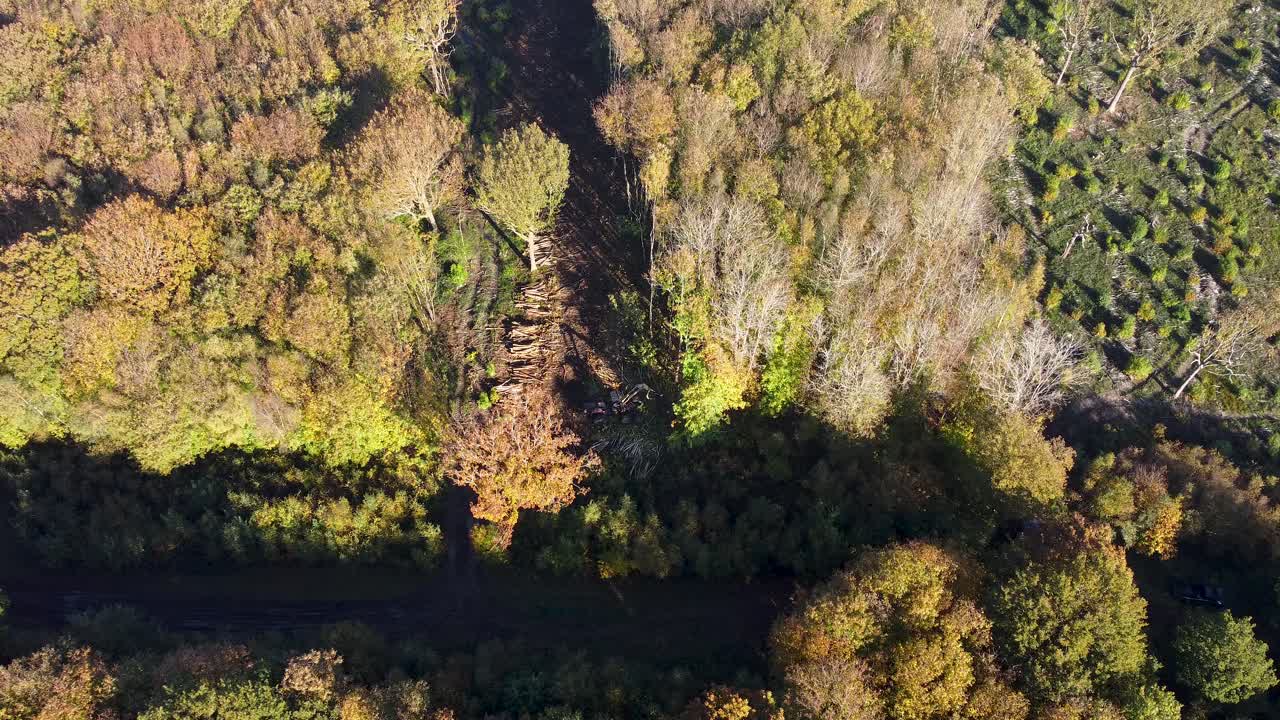 ejemplo de deforestación en inglaterra captado por un dron de 4k