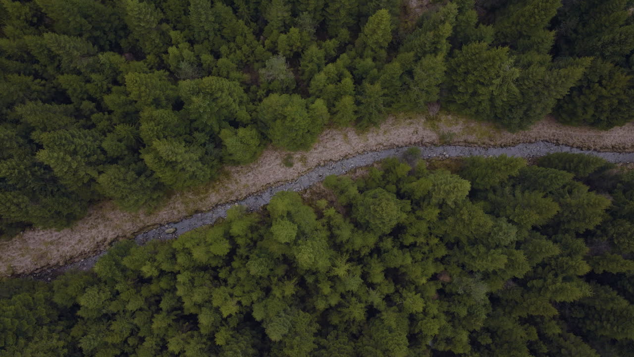 노르웨이의 가문비나무 숲과 강의 하향식 공중 조감도