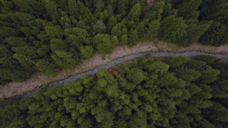 Vogelperspektive-Von-Oben-Auf-Den-Fichtenwald-Und-Den-Fluss-In-Norwegen