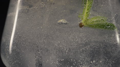 Closeup-ice-sparkling-mint-water-glass-slow-motion.-Homemade-cocktail-concept