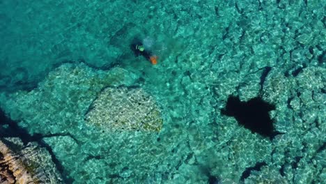 diver in ocean drone top shot in clear water