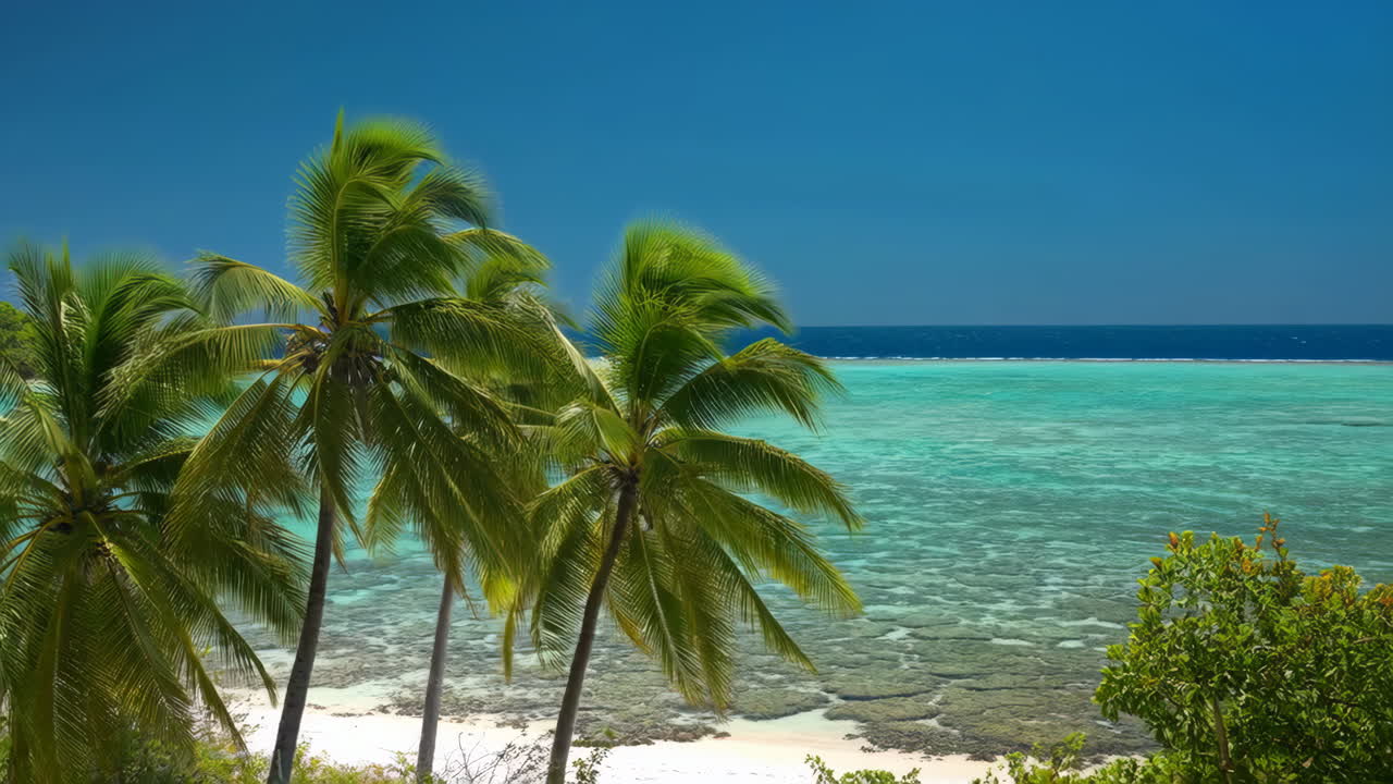 Tropischer Strand mit Palmen und klarem türkisfarbenem Wasser