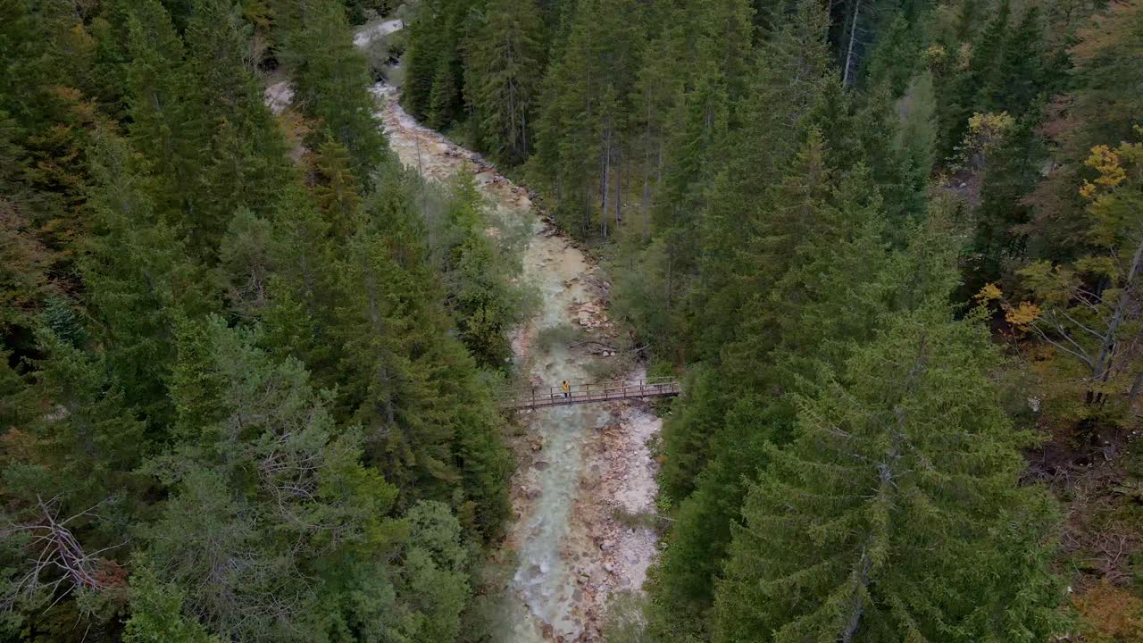 Overhead view of a scenic river, forest, and bridge with a man, Triglav, Slovenia