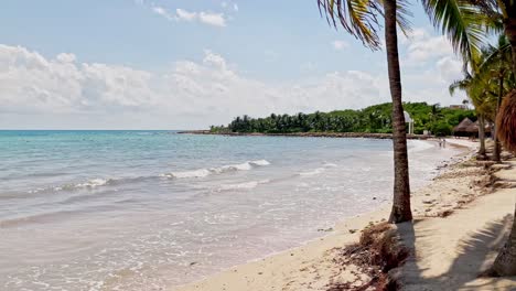 resort de playa de trs en tulum cancún méxico fotografía estática con algunas palmeras balanceándose en el viento