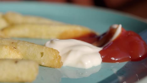 primer plano de patatas fritas con ketchup y mayonesa