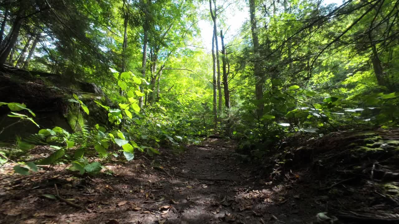 Hiking the trails of Mount Sutton, Quebec, Canada