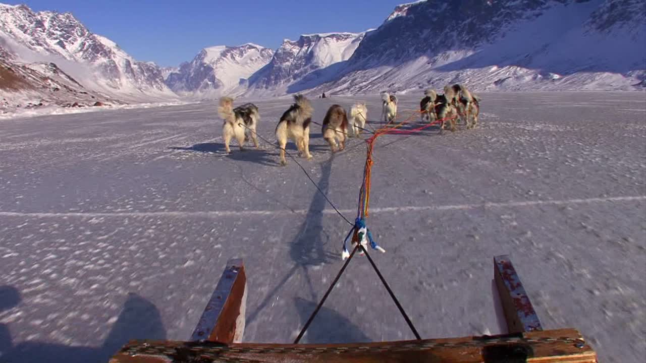 개썰매를 타고 북극 툰드라를 가로지르는 pov