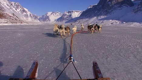 Pov-De-Un-Trineo-Tirado-Por-Perros-Que-Cruza-La-Tundra-ártica