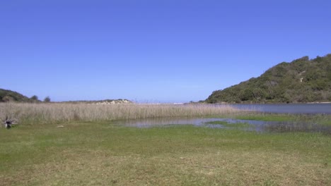 glen gariff river with the beach in the background, then pan to houses