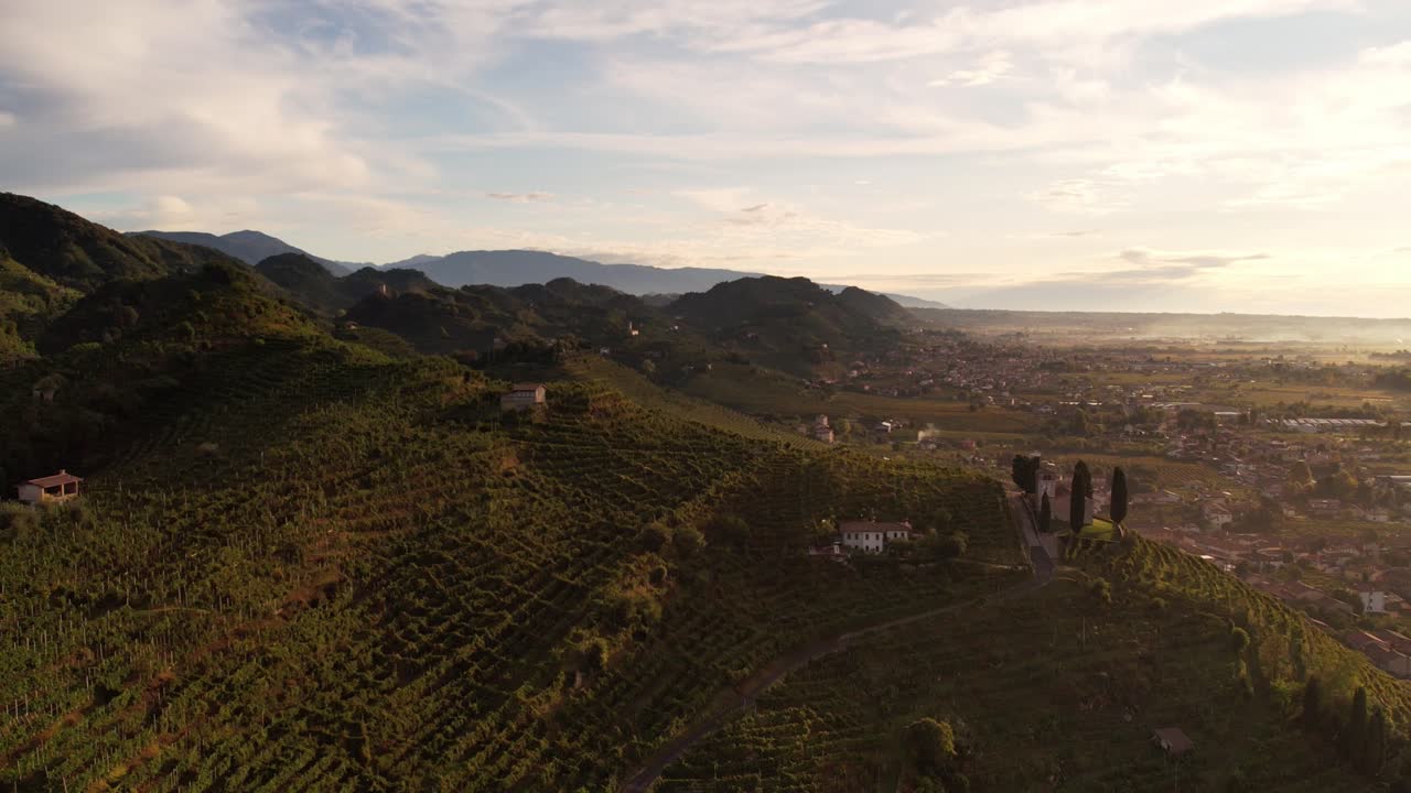 Vista aerea paesaggistica sulle famose colline del Prosecco con filari di vigneti, in Italia, in una mattina nebbiosa